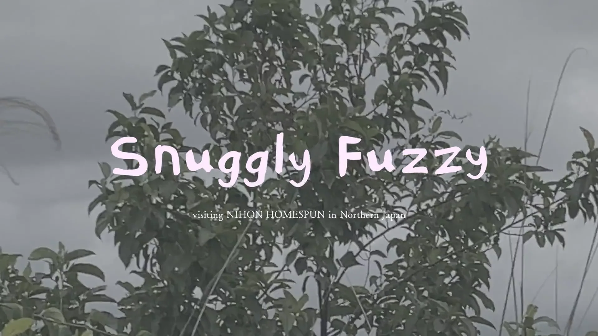 MATERIAL MATTERS｜Snuggly Fuzzy - AURALEE Official Website