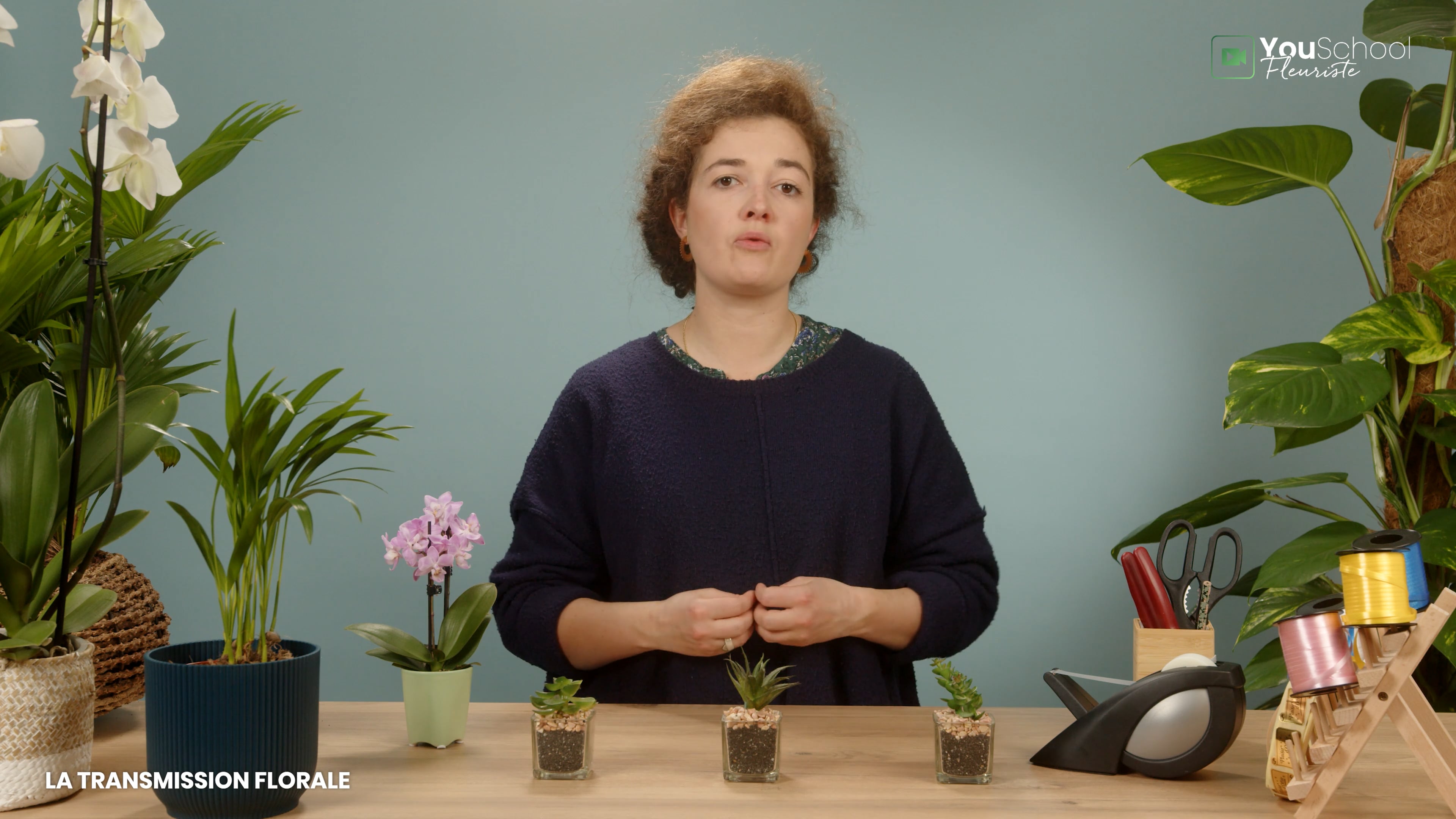 Explainer la transmission florale on Vimeo