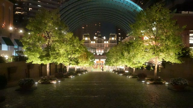 東京　夜のテーマパーク　４K