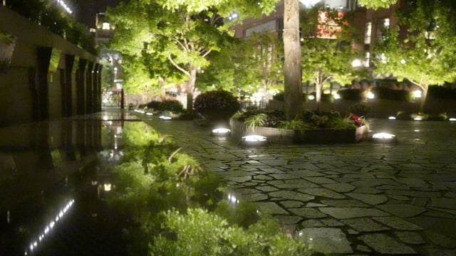 東京　夜のテーマパーク2　４K 