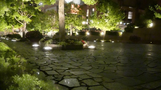 東京　夜のテーマパーク3　４K 