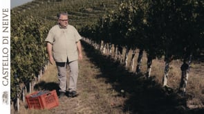 Vendemmia 2022 - Claudio Roggero