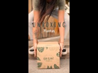 Unboxing PLANTAS