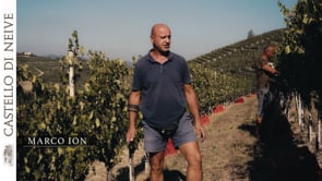 Vendemmia 2022 - Marco Ion