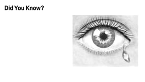 Did You Know (TED) 1