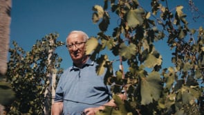 Vendemmia 2022