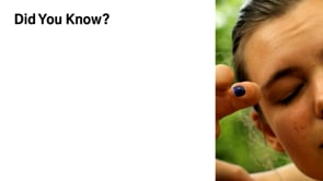 Did You Know (TED) 4