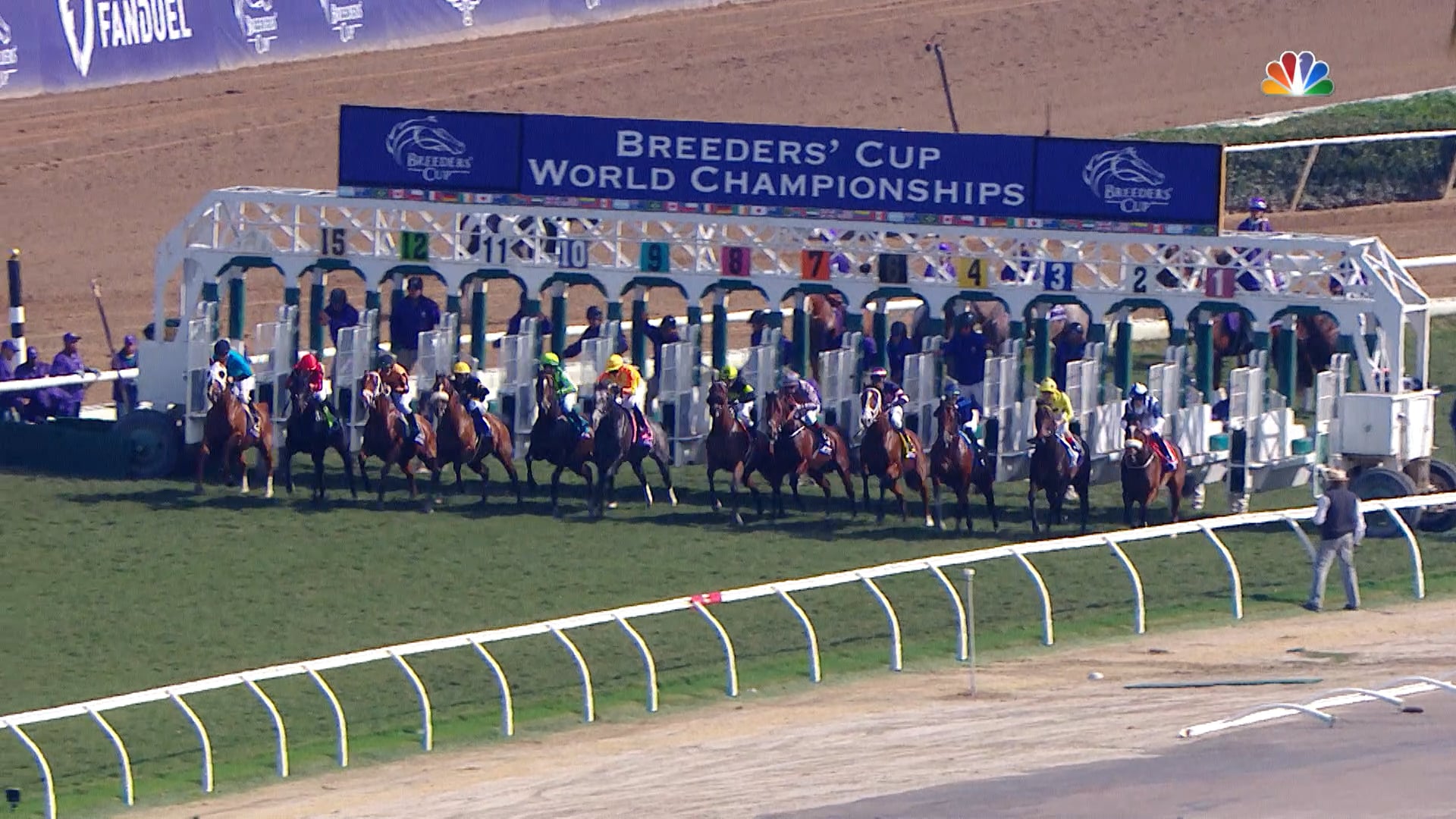 Golden Pal Stallions Coolmore America