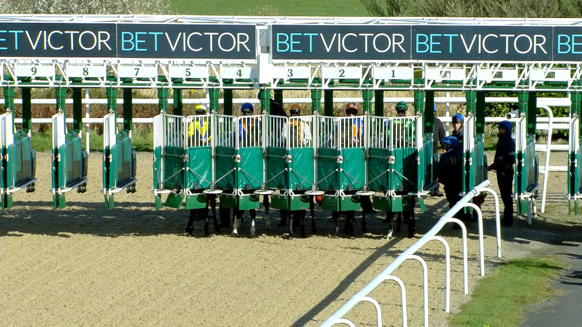 Blackbeard Stallions Coolmore Ireland