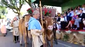 Los animales con las personas en el desfile de Cortejo Etnográfico. Feiras Novas. Ponte de Lima