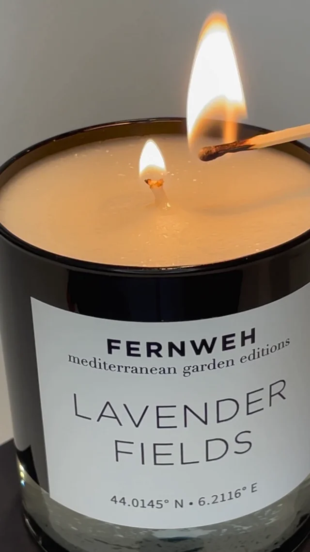 Candle Care 101: How to Care for Your Candles and Avoid Tunneling – Fernweh  Editions