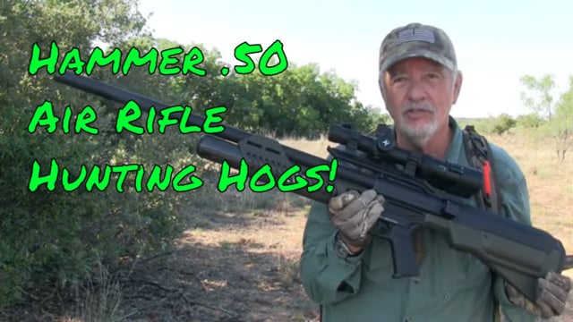 Hog Hunting with the Umarex Hammer .50 Air Rifle - Airgun101