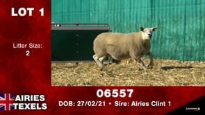 Lot #1 - Tag 06557