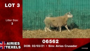Lot #3 - Tag 06562