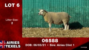 Lot #6 - Tag 06588