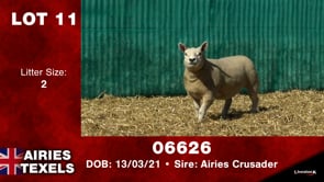 Lot #11 - Tag 06937