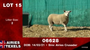 Lot #15 - Tag 06628