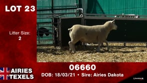 Lot #23 - Tag 06660