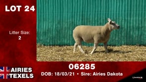 Lot #24 - Tag 06285