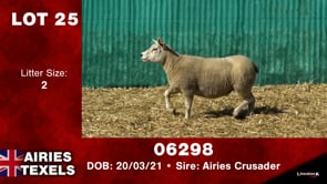 Lot #25 - Tag 06298