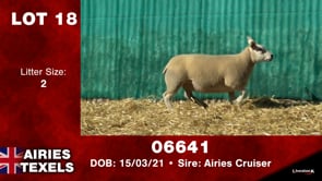 Lot #18 - Tag 06641