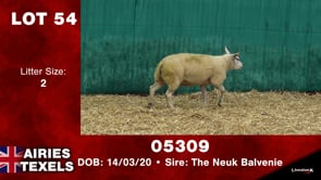 Lot #54 - Tag 05309
