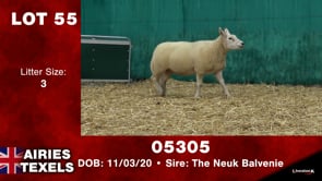 Lot #55 - Tag 05305