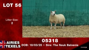 Lot #56 - Tag 05318