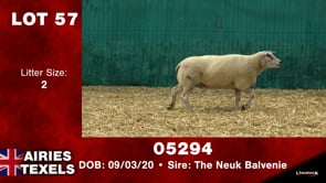 Lot #57 - Tag 05294