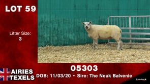 Lot #59 - Tag 05303