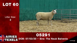 Lot #60 - Tag 05291