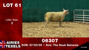 Lot #61 - Tag 06307