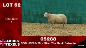 Lot #62 - Tag 05288