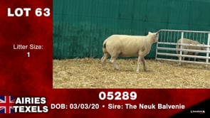 Lot #63 - Tag 05289