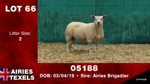 Lot #66 - Tag 05188