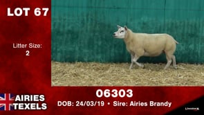 Lot #67 - Tag 06303