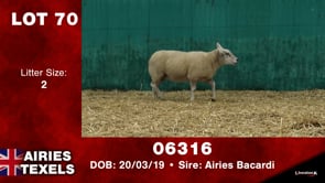 Lot #70 - Tag 06316
