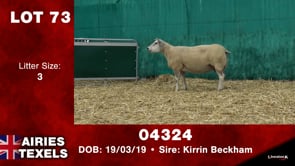 Lot #73 - Tag 04324