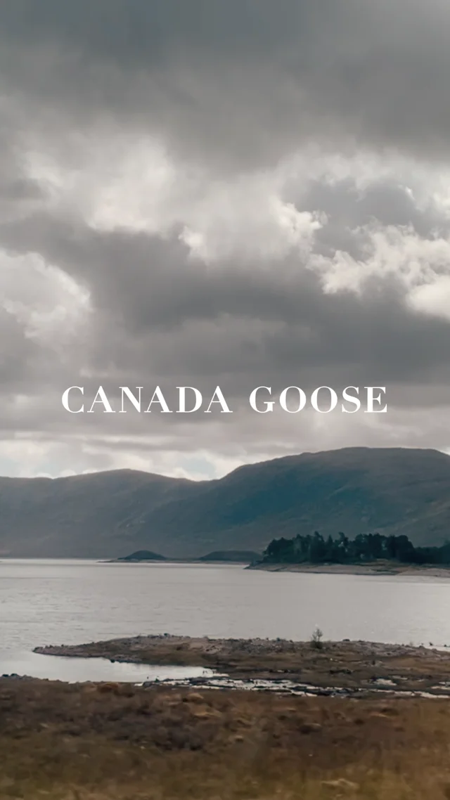 What Role Does Annie Leibovitz Play in Canada Goose's Celebration