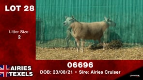 Lot #28 - Tag 06696