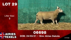Lot #29 - Tag 06698