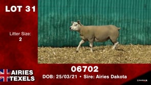 Lot #31 - Tag 06702