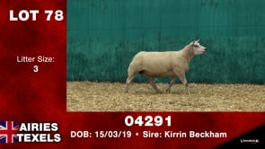 Lot #78 - Tag 04291