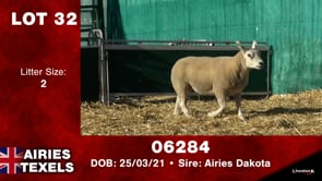 Lot #32 - Tag 06936