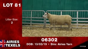Lot #81 - Tag 06302