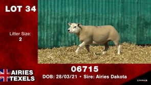 Lot #34 - Tag 06715