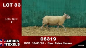 Lot #83 - Tag 06319