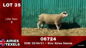 Lot #35 - Tag 06724