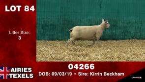Lot #84 - Tag 04266