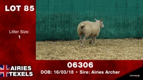 Lot #85 - Tag 06306